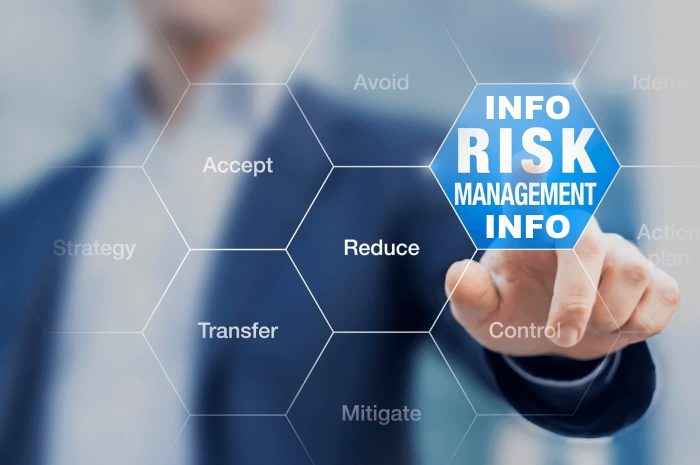 Info Risk Management 2